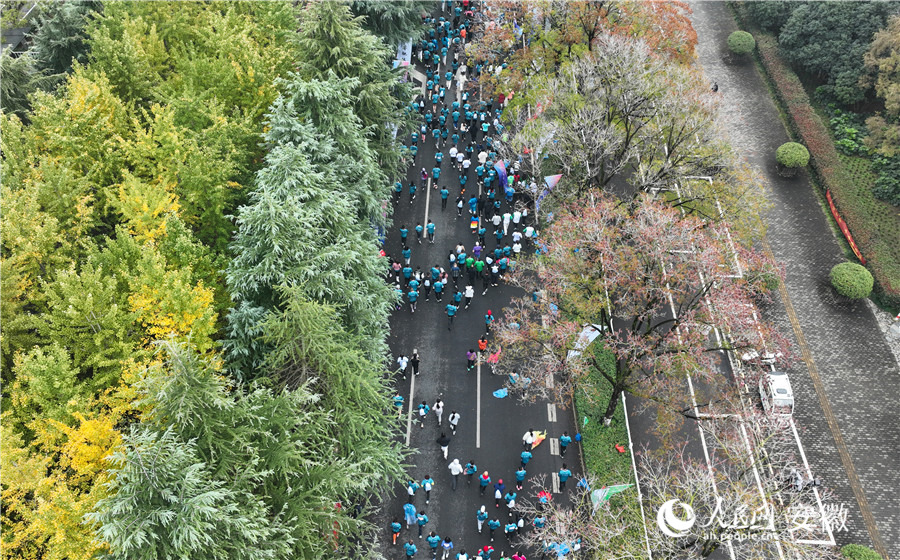 赛道途经城北广场、滨河公园、保丰河绿道、五里湖湿地公园、尤家花园等。人民网记者 陶涛摄