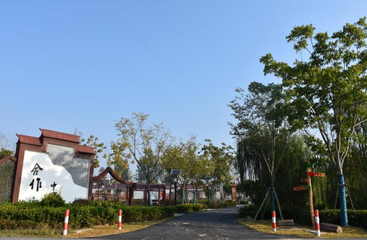 丰乐镇美丽乡村桥西村