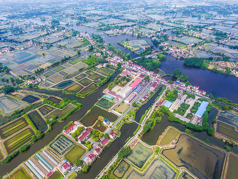 俯瞰乌溪镇七房村螃蟹养殖基地。王文生摄。