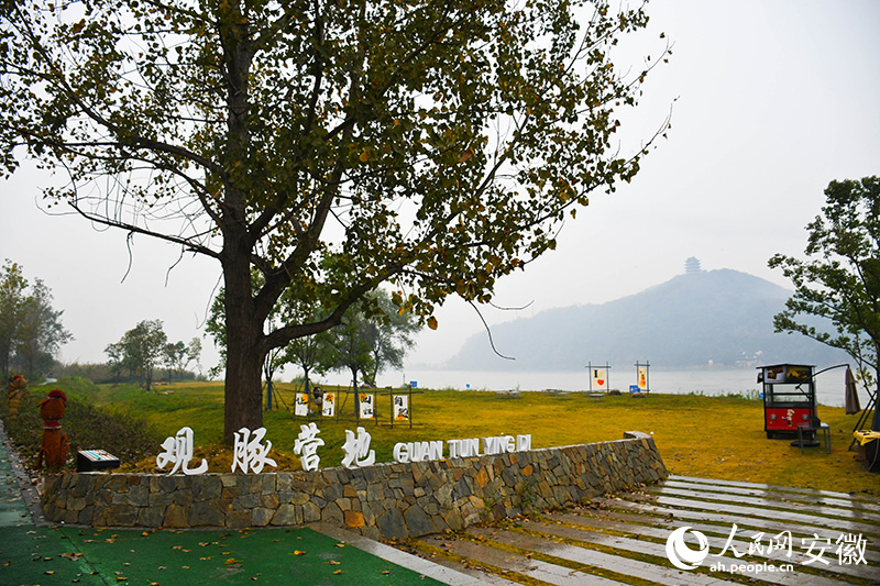 位于江心乡的观豚营地。人民网记者 周坤摄