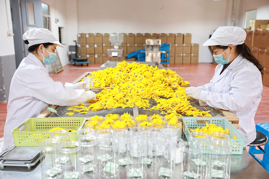 分揀包裝。江建興攝