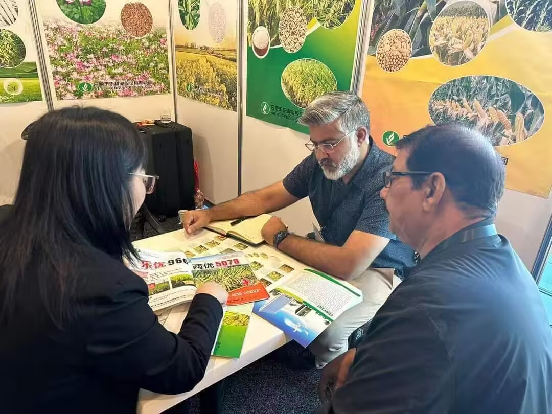 豐樂種業參會代表接待巴基斯坦新客戶，介紹公司出口水稻品種在當地表現情況，並推薦公司水稻新品種，與外商共同探討海外市場最新需求變化。