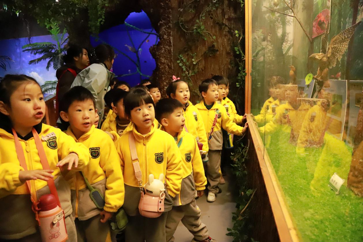 孩子们在老师的带领下，有序地参观了颍上县青少年活动中心生态文明教育馆