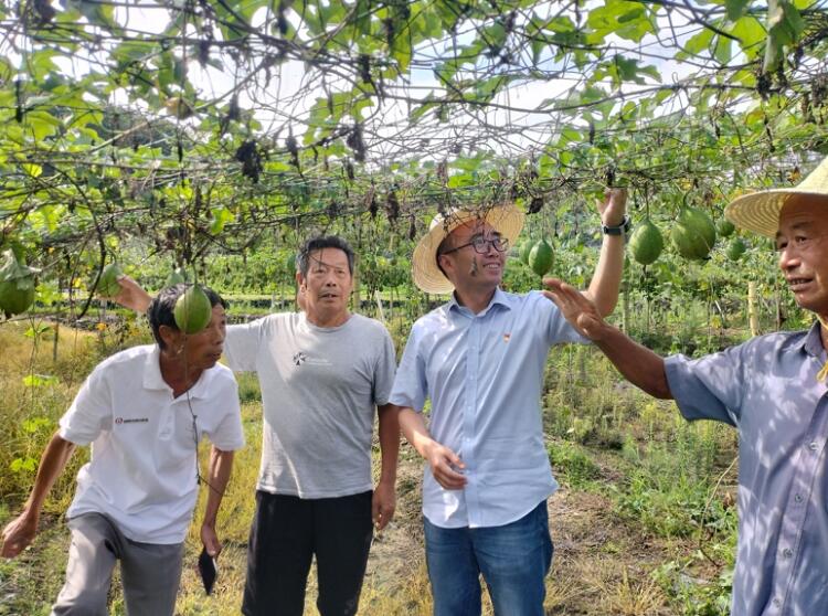 發展特色種植產業，帶動村集體、村民增收。中國電信安慶分公司供圖