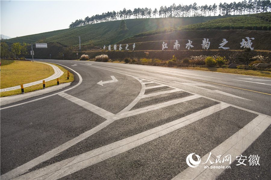 10S202郎溪美麗公路嶄新的道路兩旁，茶園風景如畫。人民網記者 李希蒙攝
