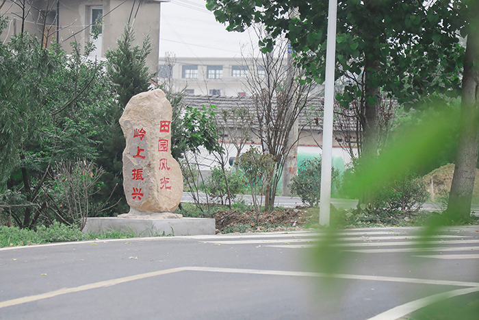 鄉村旅游發展