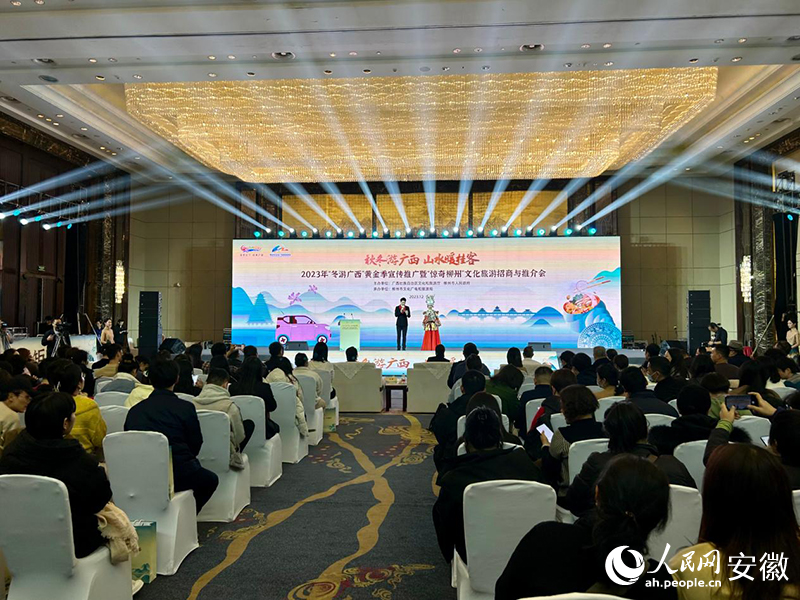 推介会现场。人民网记者 高飞跃摄