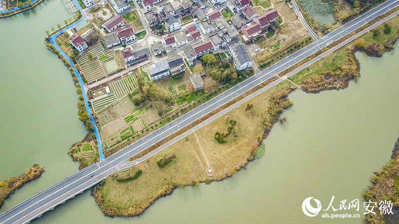 南陵縣奎湖環湖路。人民網記者 李希蒙攝