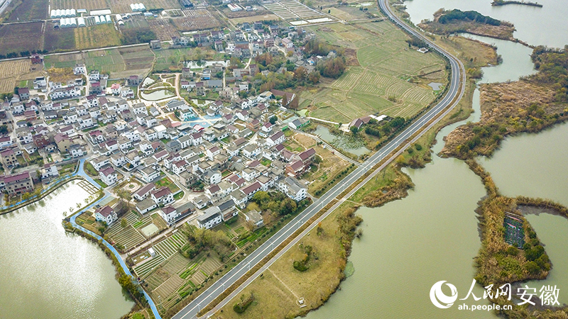 南陵縣奎湖環湖路。人民網記者 李希蒙攝