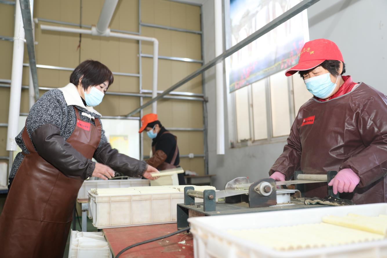安徽艾乡农业科技有限公司加工艾柱。杜磊摄