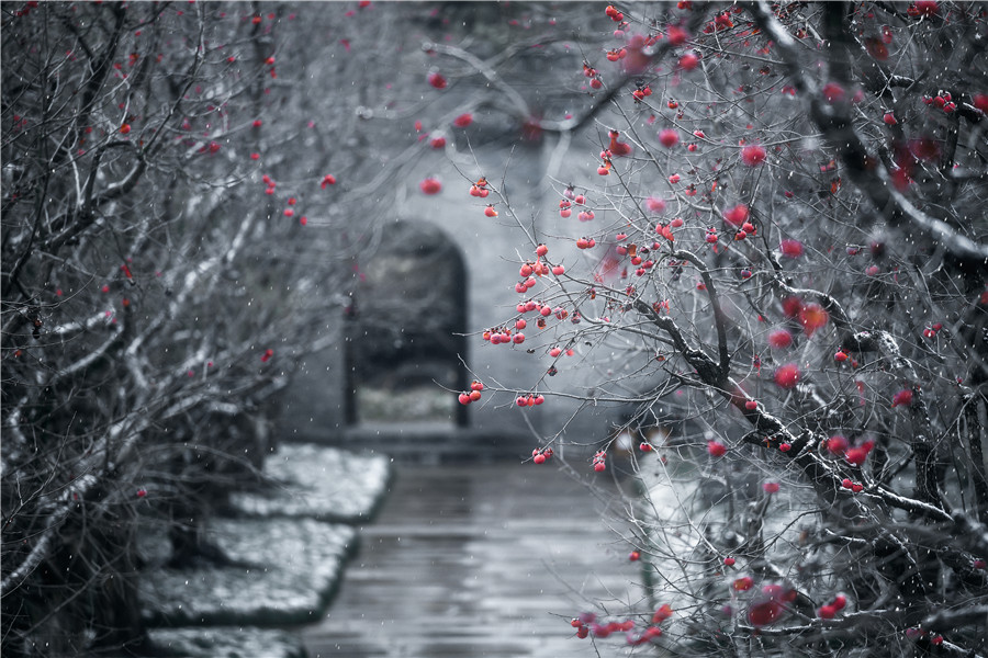 银装素裹的尤园雪景，分外妖娆。张亚辉摄