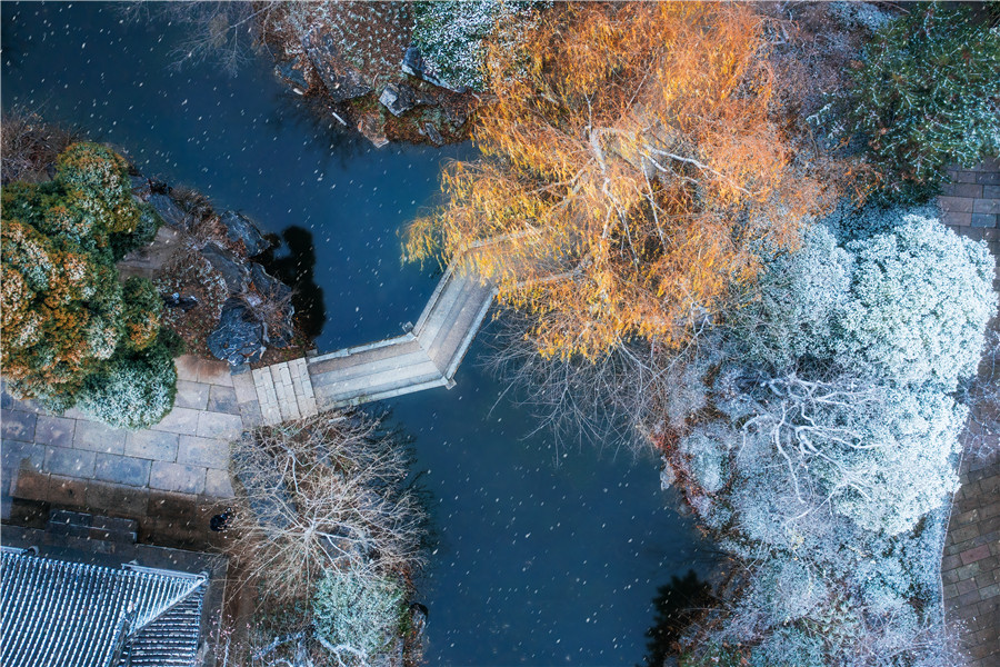 銀裝素裹的尤園雪景，景色宜人。張亞輝攝