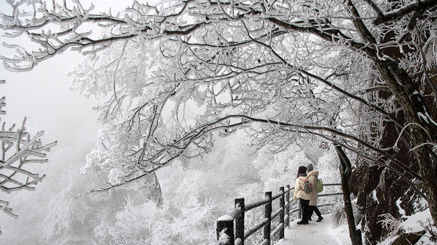 九华山迎来降雪。李晓白摄