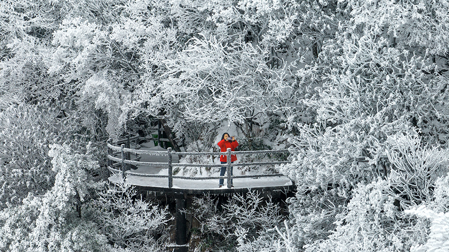 九华山迎来降雪。李晓白摄
