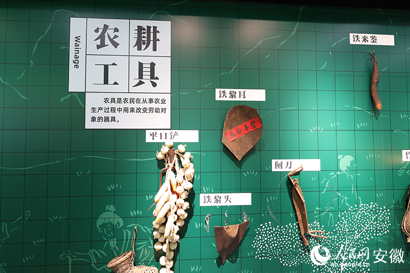 大江市集特地布置的农耕文化墙。人民网记者 张俊摄