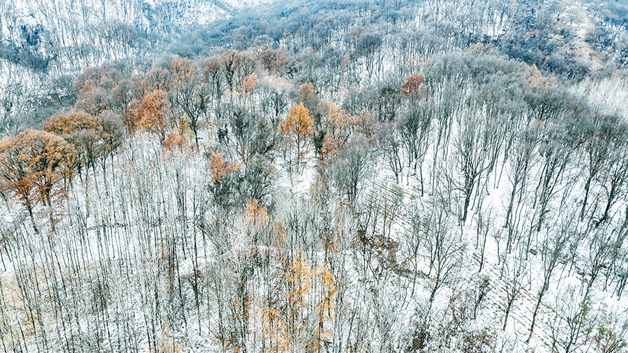 航拍明光市老嘉山雪后美景。王緒波攝