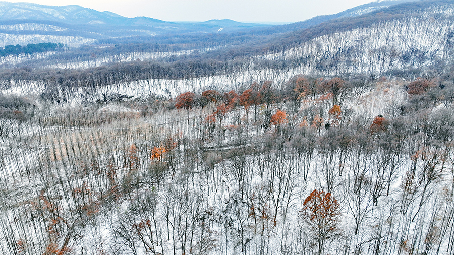 航拍明光市老嘉山雪后美景。王绪波摄