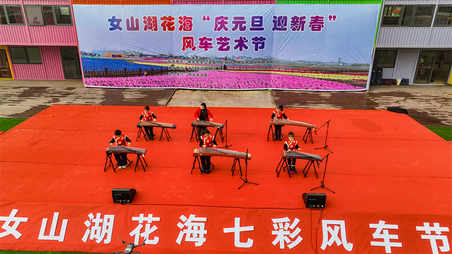 元旦假期，文艺工作者在明光市女山湖花海风车节上为游客们表演古筝合奏。