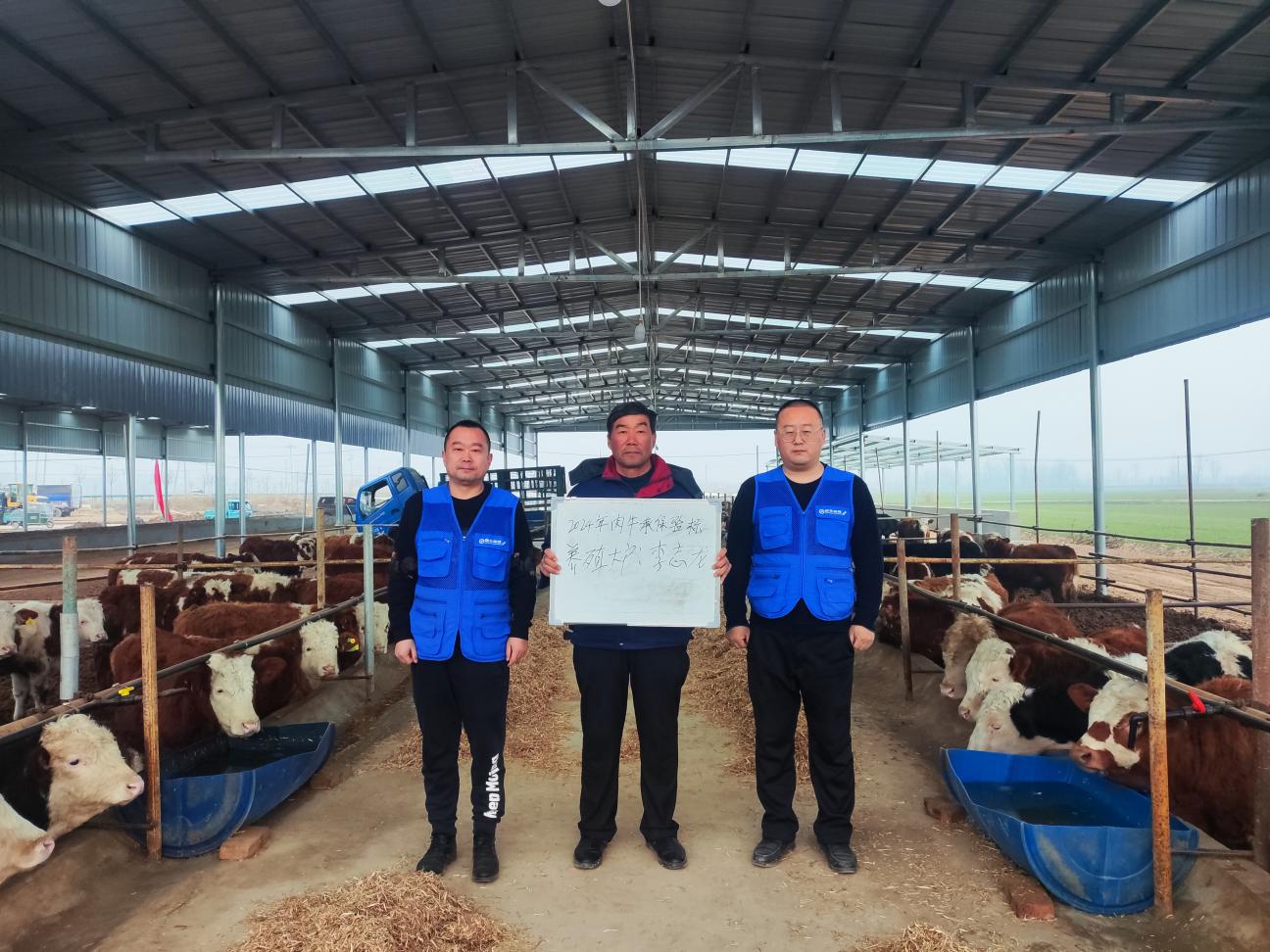 肉牛保險讓養殖戶吃上了“定心丸”。張曉光攝