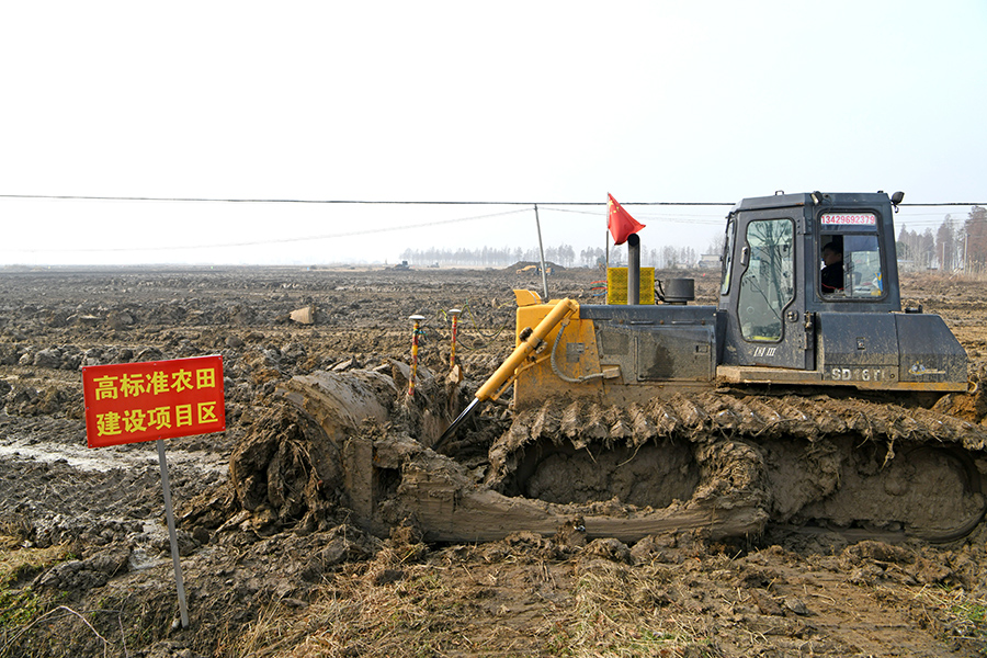 高标准农田建设现场。陈彬摄