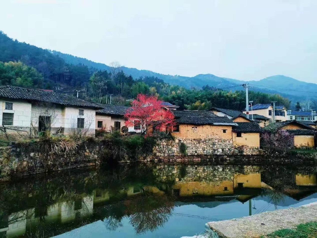 蒋潭村风光。潜山市委宣传部供图