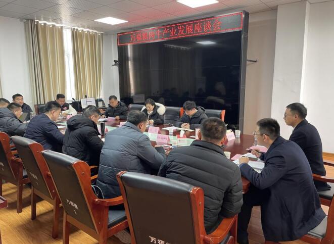 肉牛产业发展座谈会。万福镇供图
