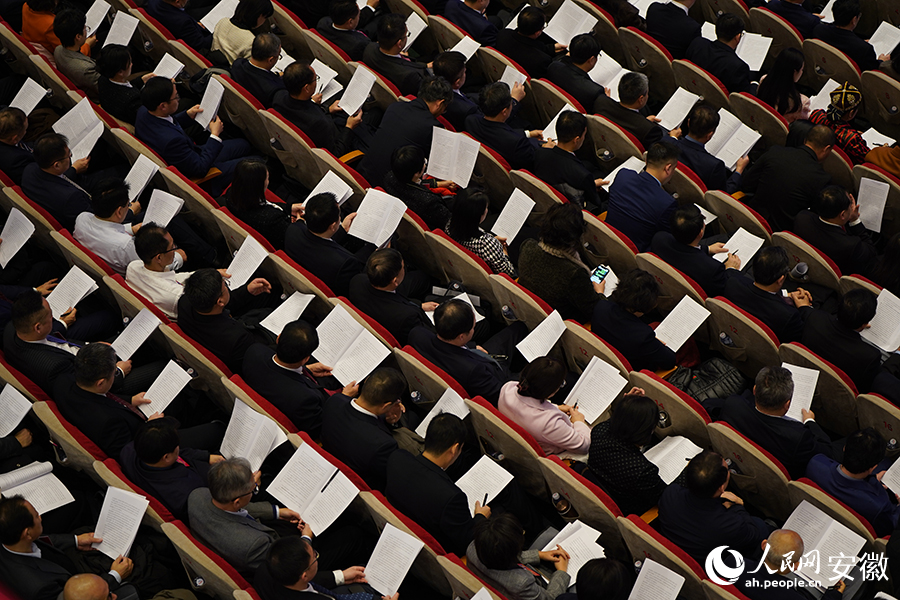 安徽省政协十三届二次会议开幕。人民网记者 陶涛摄