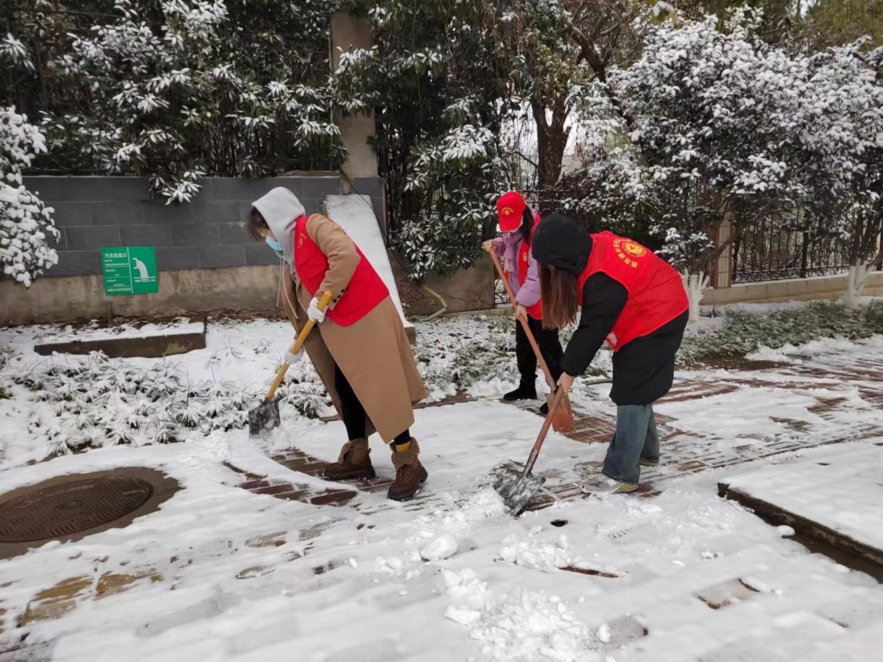 巾帼志愿者清扫积雪，保障居民出行安全。王晓莹摄