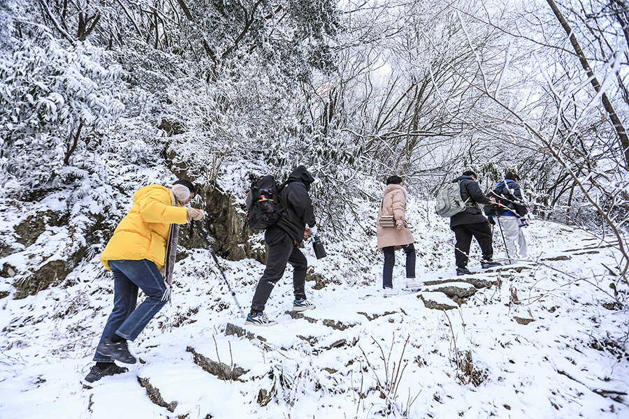 踏雪而行。江建興攝