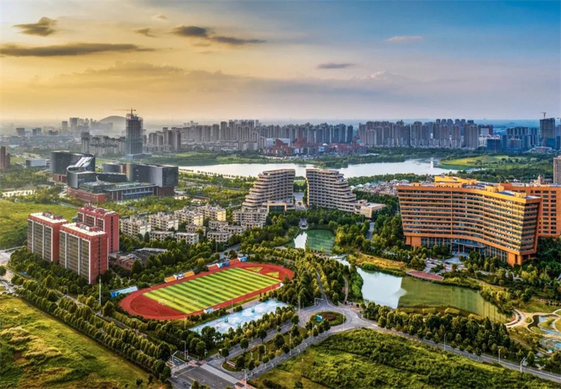 合肥高新区。刘浩供图