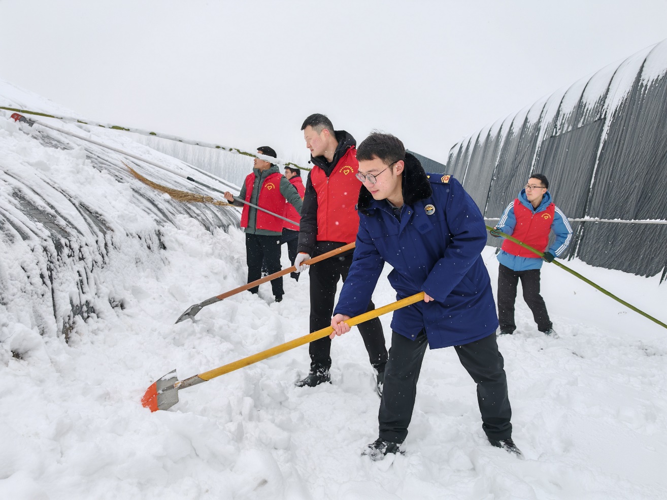 清理大鹏积雪。利辛县委宣传部供图