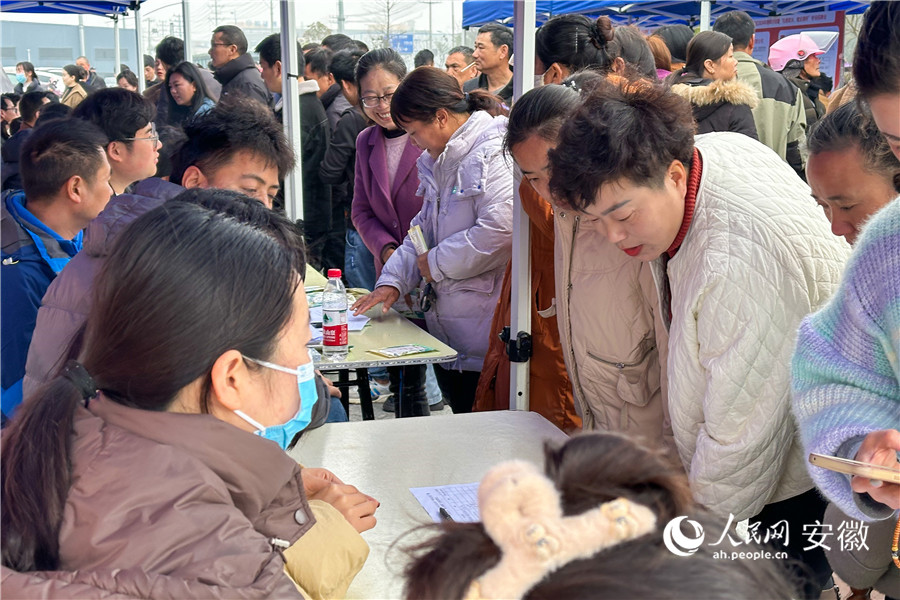 “扎根家乡 就业狸桥”专场招聘会现场。人民网记者 李希蒙摄