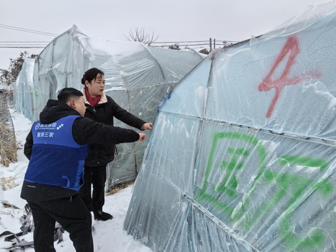 工作人员深入田间地头。 国元保险安徽分公司供图