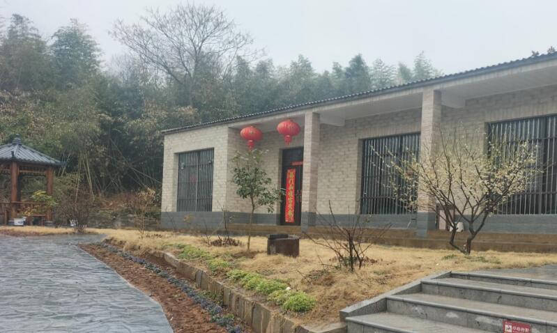 整潔干淨的院子。