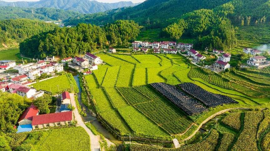 田头乡一景。岳西县委宣传部供图