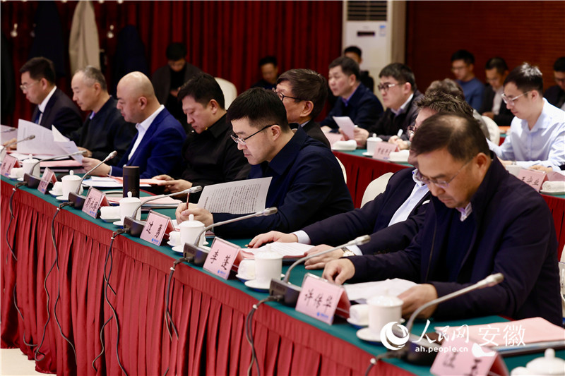 眾多嘉賓參加座談會為馬鞍山發展建言獻策。人民網記者 陶濤攝