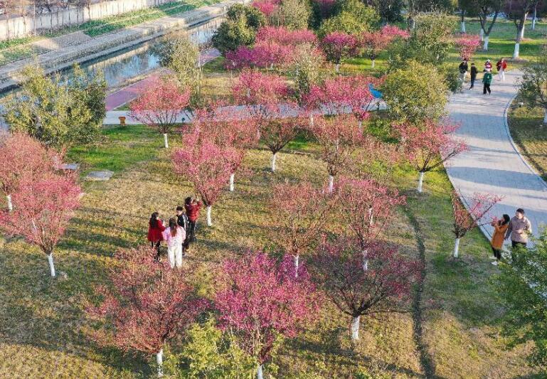 精致的口袋公園。