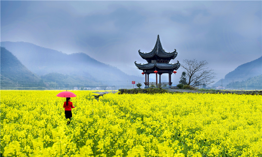 尋芳。杜兆軍 攝