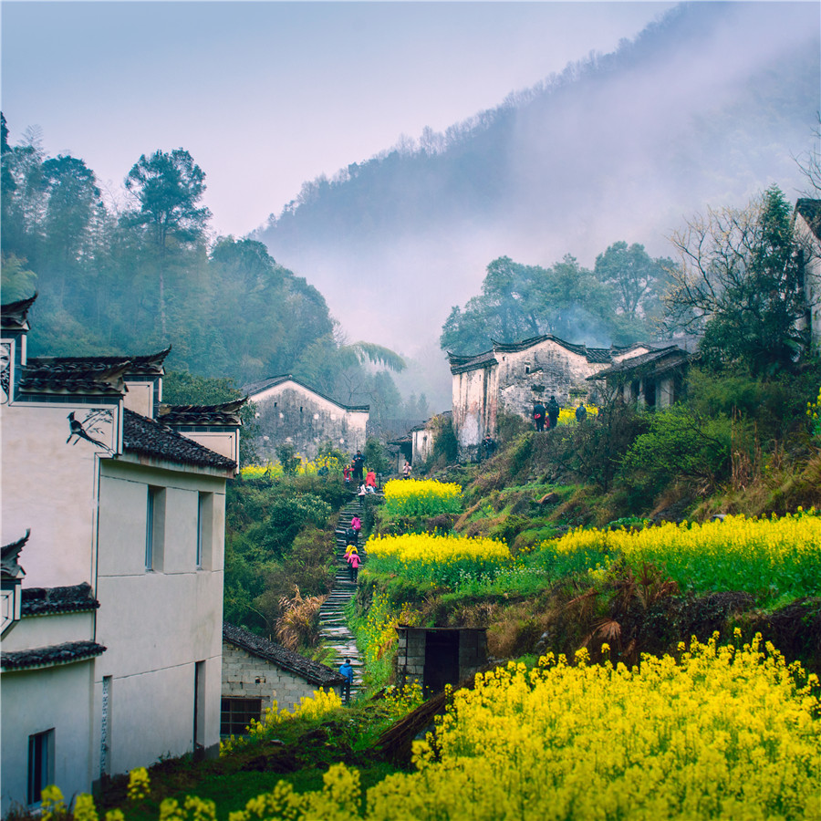 村邊花海。石台縣文旅局供圖