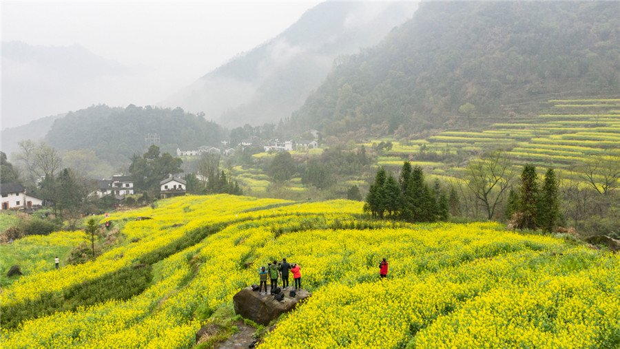 白石嶺。石台縣文旅局供圖