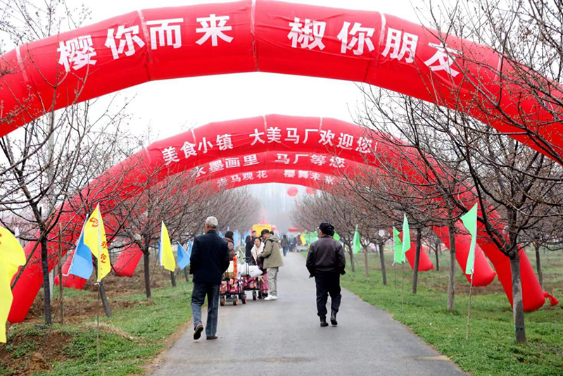全椒縣馬廠櫻花節活動現場。全椒縣委宣傳部供圖