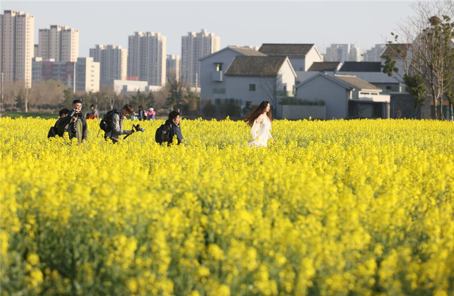 3月21日，市民游客在油菜花盛开的安徽省合肥市瑶海区青年创意田园里游玩。解琛摄