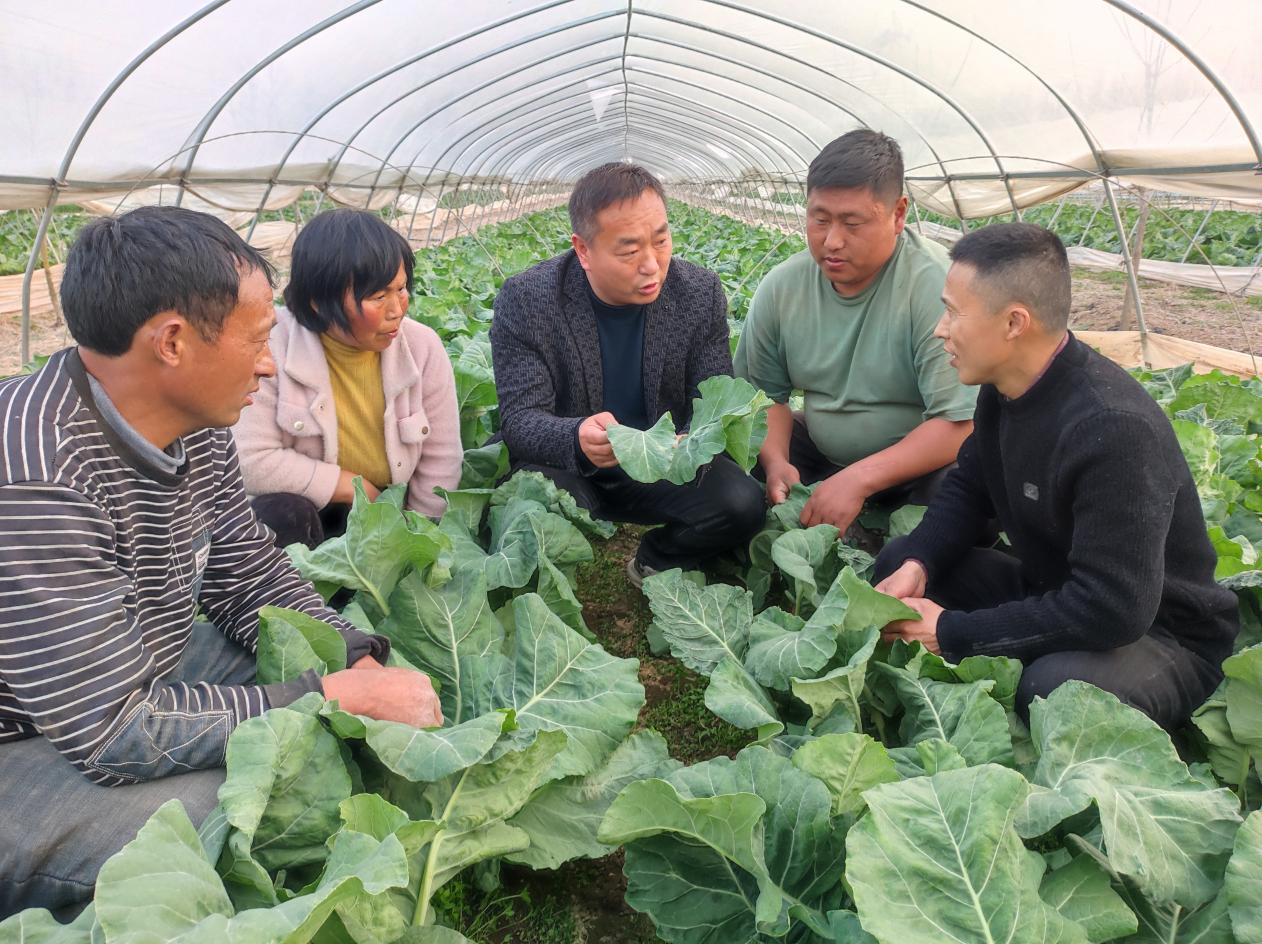 埇桥区时村镇农技人员（中）在指导村民进行大棚管理。李华勋摄