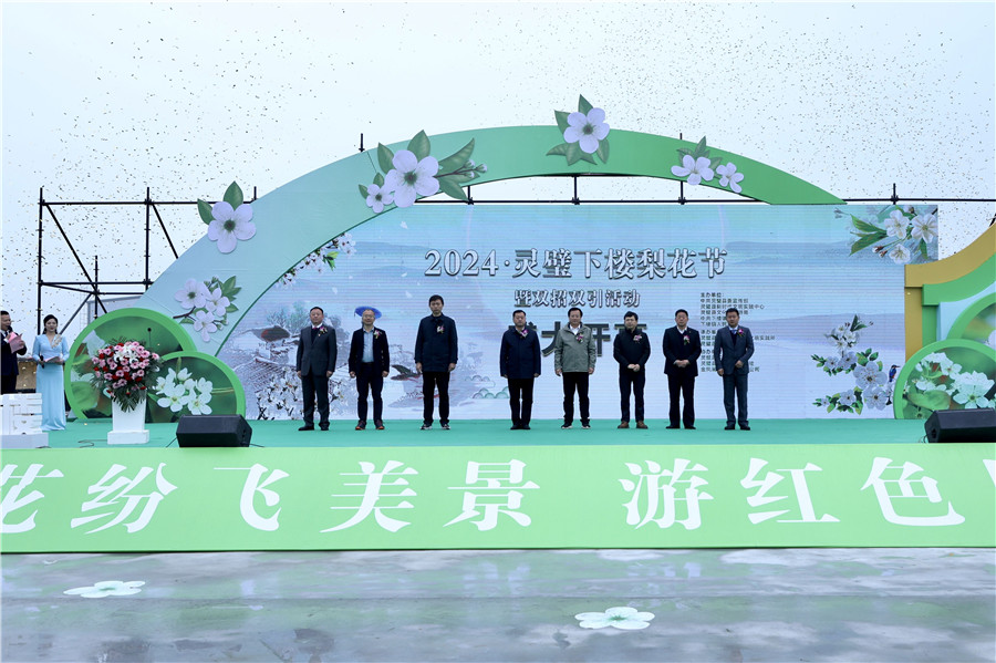 2024·灵璧下楼镇梨花节开幕。人民网记者 陶涛摄