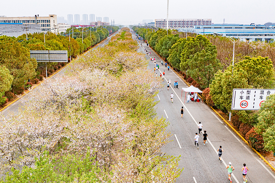 跑在春天里。湾沚区委宣传部供图