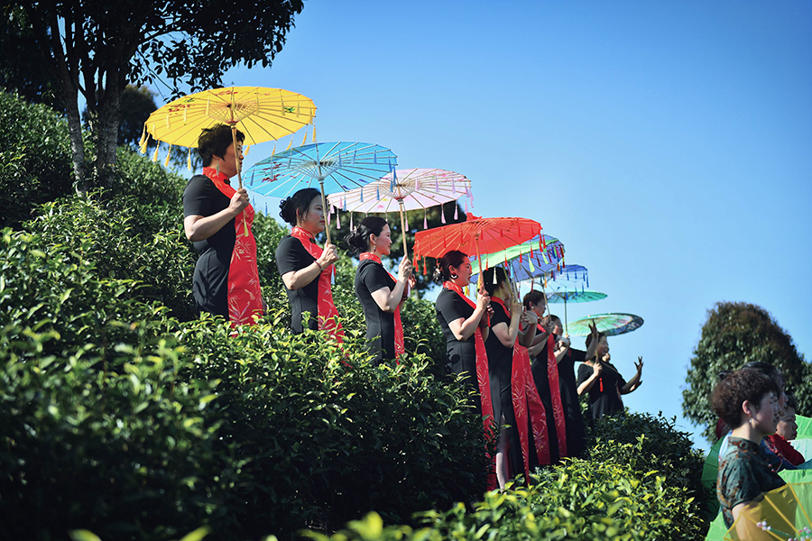 茶山上上演旗袍秀。宁国市委宣传部供图