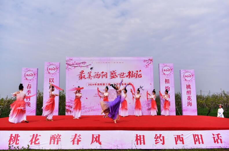 活动开幕式。涡阳县委宣传部供图