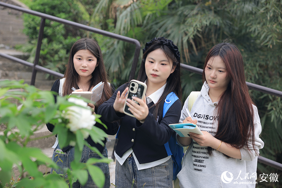 几位学生在记录牡丹。人民网记者 王晓飞摄