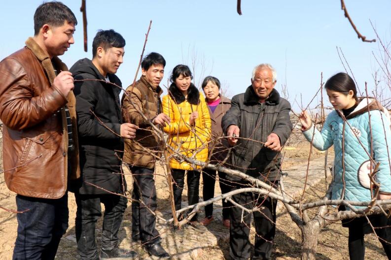 張保華向周邊果農傳授果樹種植技術。 譙城區牛集鎮 供圖