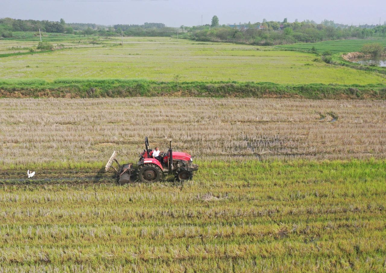 農機手駕駛著旋耕機在田裡穿梭耕作。
